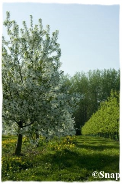 IMG_7220 [640x480] [640x480]