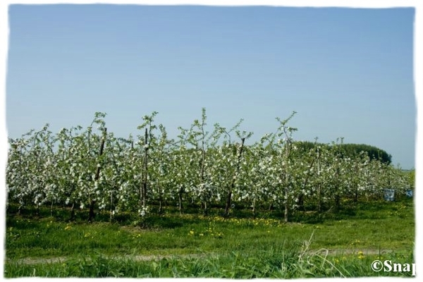 IMG_7223 [640x480] [640x480]