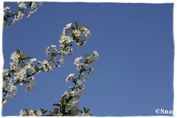 IMG_7227 [640x480] [640x480]