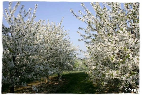 IMG_7229 [640x480] [640x480]