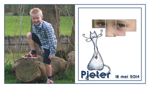 pieter1c