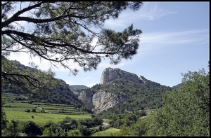 Dentelles de Montmirail