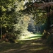Herfst in Heidebos .