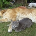 Quinta & Moby