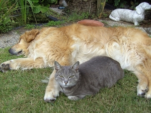 Quinta & Moby