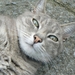 Moby 3.9.08