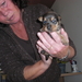 rocky