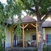terras+boom_nieuw