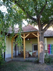 terras+boom_nieuw