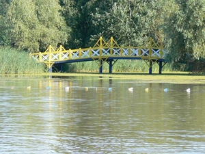 tiszanana1-800