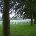 Ysselsteyn