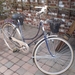 Afbeelding 001