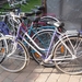 Afbeelding 003