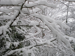 december 2009