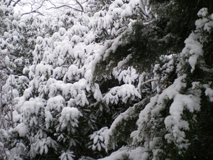december 2009