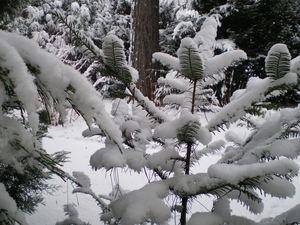 december 2009