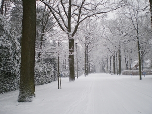 december 2009