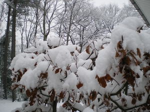 december 2009