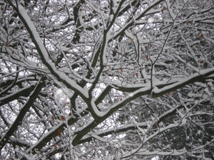 december 2009