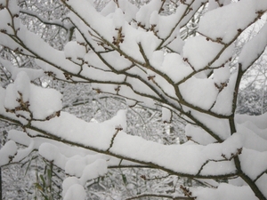 december 2009
