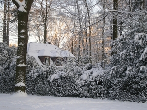 december 2009