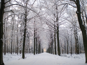december 2009
