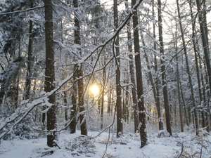 december 2009