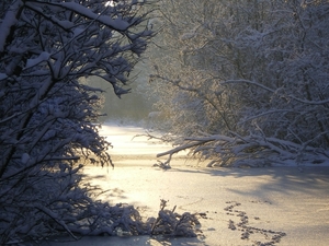 december 2009
