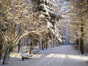 december 2009