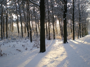 december 2009