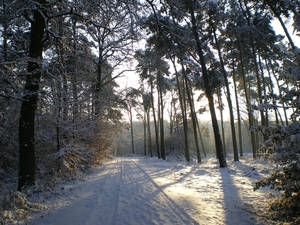 december 2009
