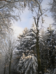 december 2009