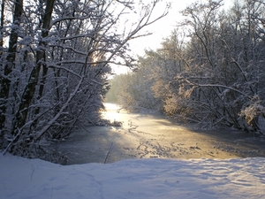 december 2009