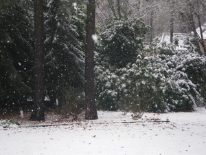Sneeuw in het land.