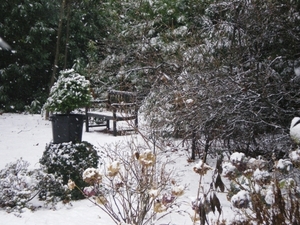 Sneeuw in het land.