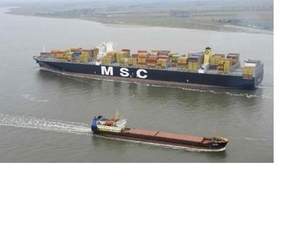 M S C   01
