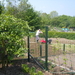 tuin 2009 068