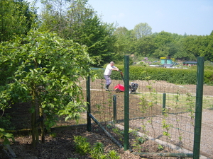 tuin 2009 068