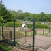 tuin 2009 069