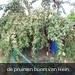 100_1056