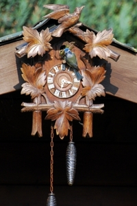 Pimpelmezen bouwen hun nest (12)