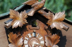 Pimpelmezen bouwen hun nest (5)