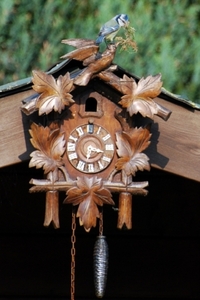 Pimpelmezen bouwen hun nest (6)
