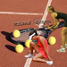 Roland Garros fotomontage