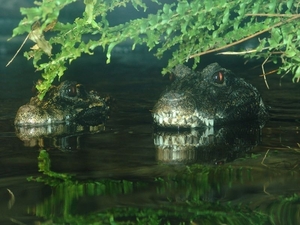 Zoo Leipzig