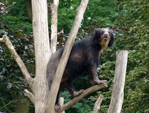 Zoo Leipzig