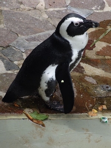 Zoo Leipzig