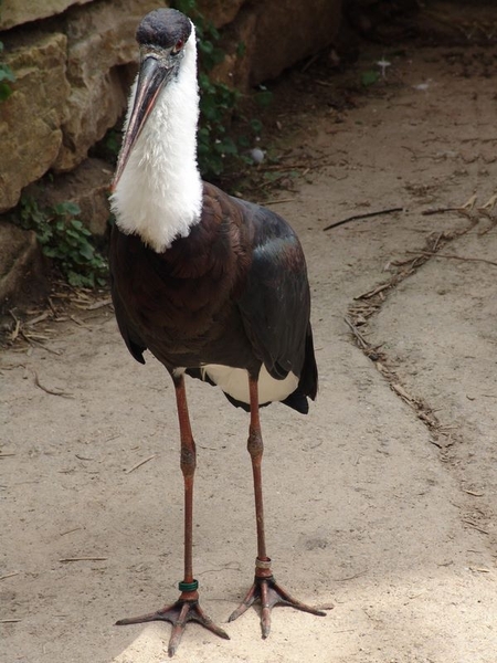 Zoo Leipzig