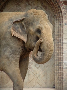 Zoo Leipzig