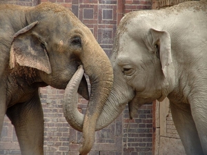 Zoo Leipzig